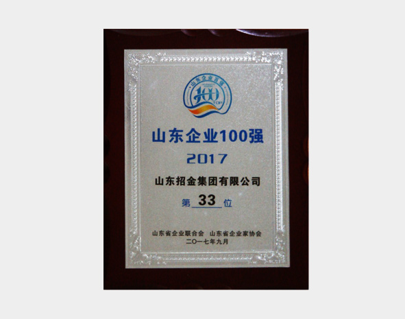 2017山东省企业100强33位